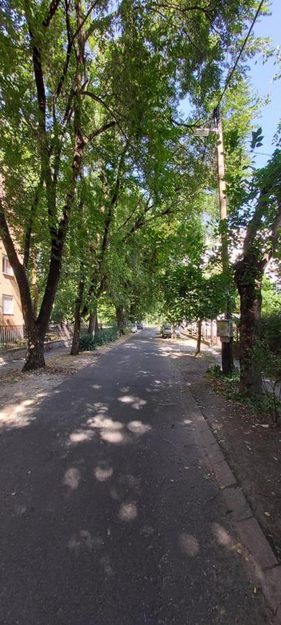 Gabrielle2 Apartman Debrecen Buitenkant foto